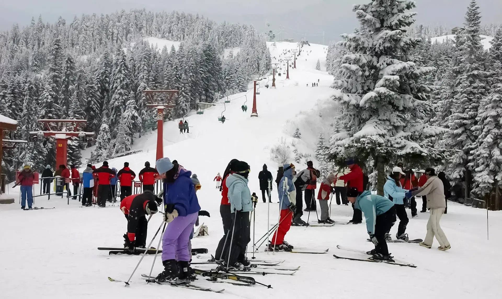 Kastamonu Kış Tatili Rehberi: Ilgaz Kayak, Termal & Doğa