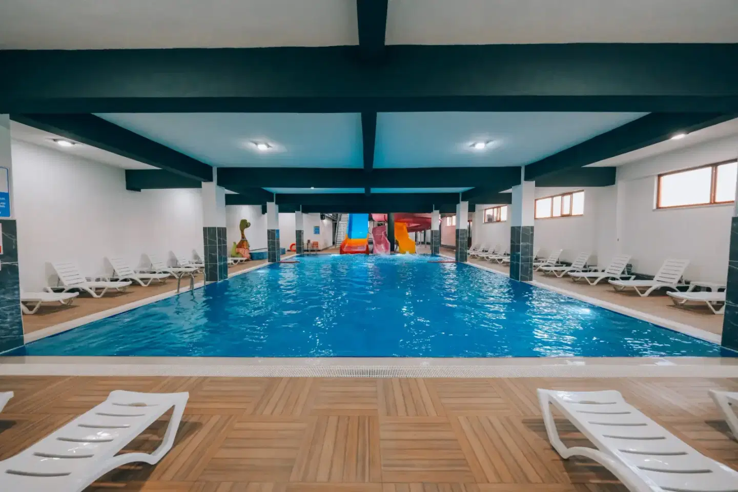 Forest and nature scenery