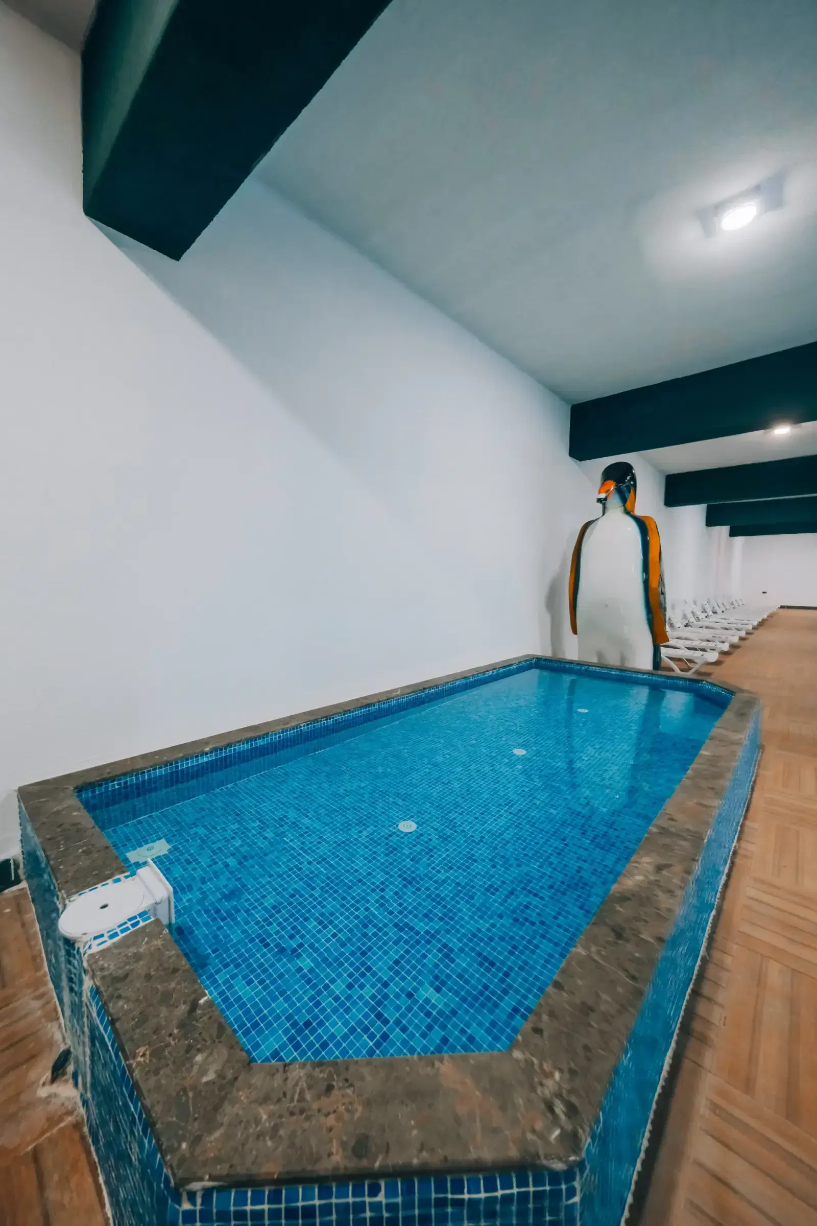 Kastilya Otel: Çocuk havuzu